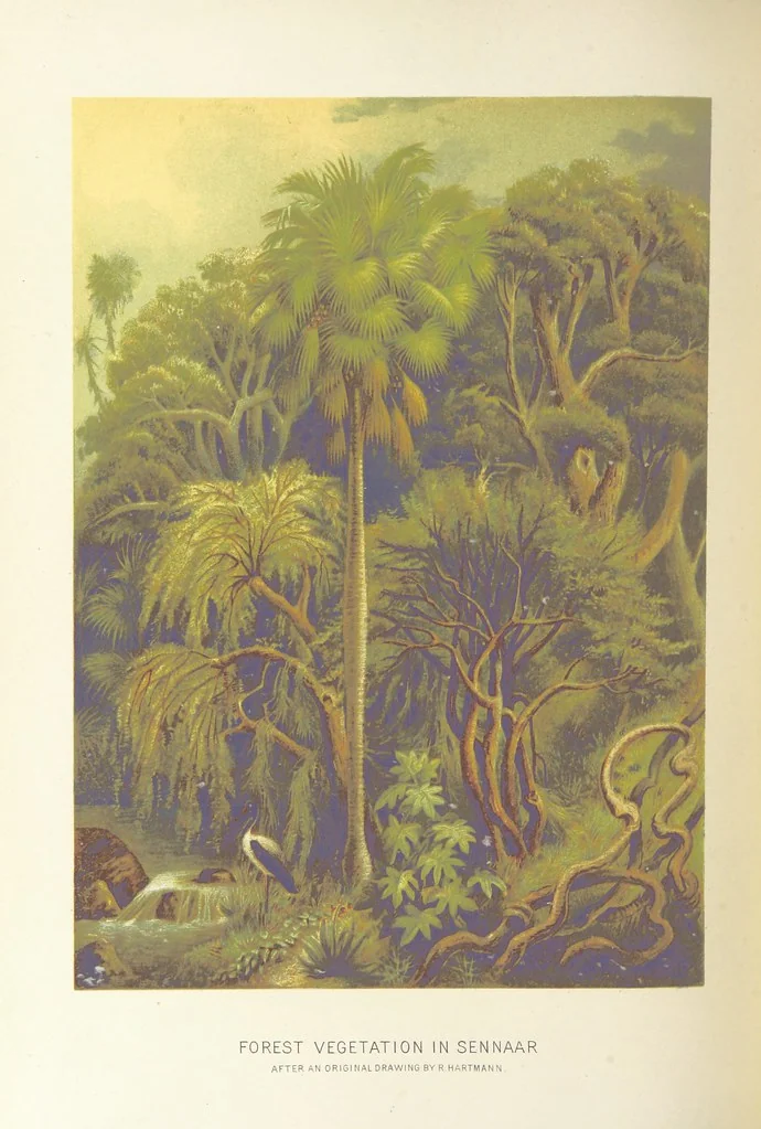 An illustration from Our Earth and its Story: a popular treatise on physical geography. Edited by R. Brown. With ... coloured plates and maps, etc, 1893, leaf 490