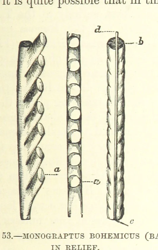 An illustration from Our Earth and its Story: a popular treatise on physical geography. Edited by R. Brown. With ... coloured plates and maps, etc, 1893, leaf 497