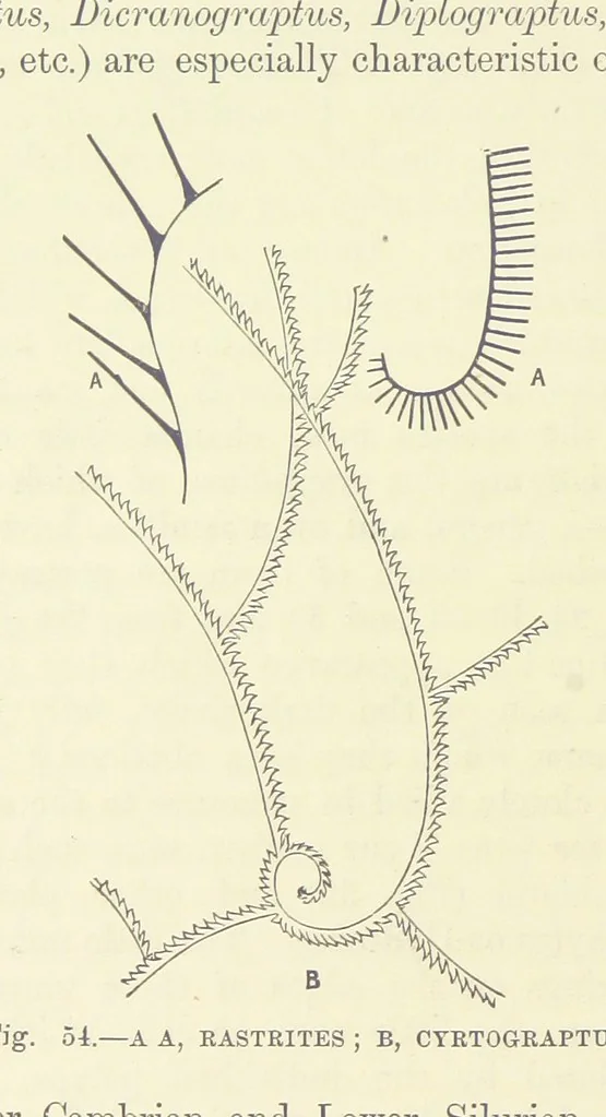 An illustration from Our Earth and its Story: a popular treatise on physical geography. Edited by R. Brown. With ... coloured plates and maps, etc, 1893, leaf 498