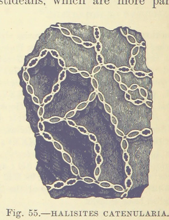 An illustration from Our Earth and its Story: a popular treatise on physical geography. Edited by R. Brown. With ... coloured plates and maps, etc, 1893, leaf 498