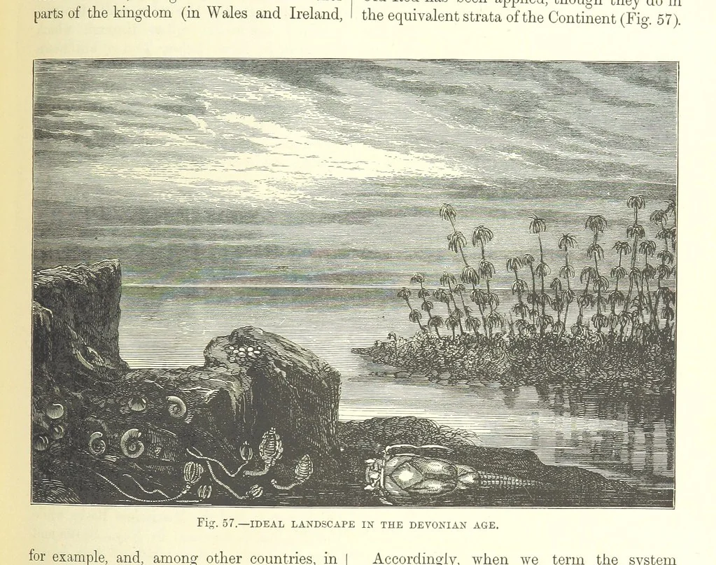 An illustration from Our Earth and its Story: a popular treatise on physical geography. Edited by R. Brown. With ... coloured plates and maps, etc, 1893, leaf 503
