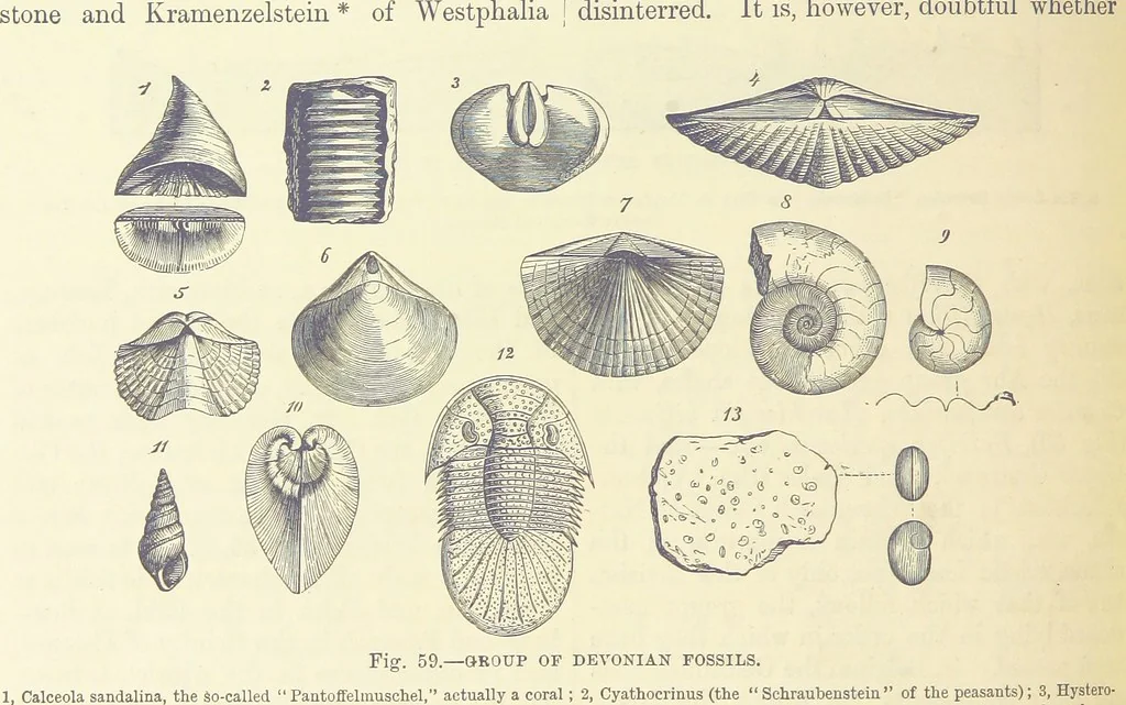 An illustration from Our Earth and its Story: a popular treatise on physical geography. Edited by R. Brown. With ... coloured plates and maps, etc, 1893, leaf 506