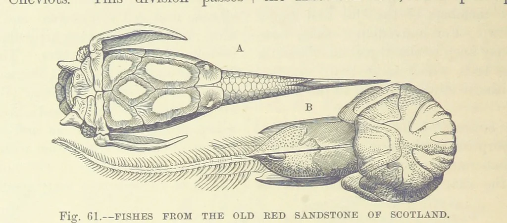 An illustration from Our Earth and its Story: a popular treatise on physical geography. Edited by R. Brown. With ... coloured plates and maps, etc, 1893, leaf 508