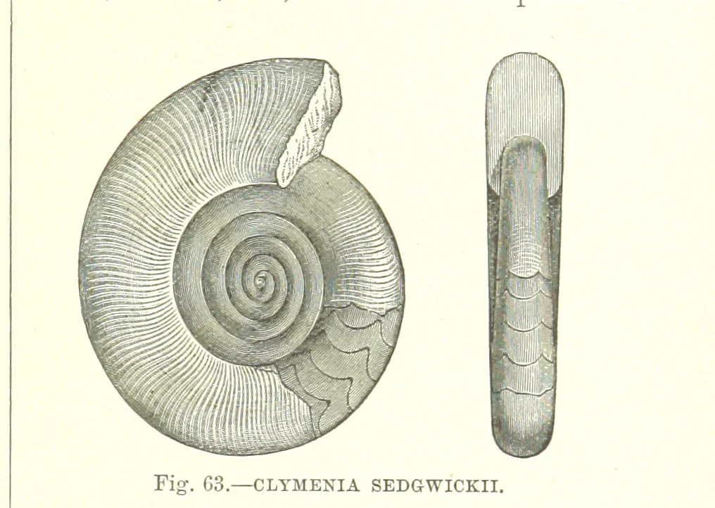 An illustration from Our Earth and its Story: a popular treatise on physical geography. Edited by R. Brown. With ... coloured plates and maps, etc, 1893, leaf 509