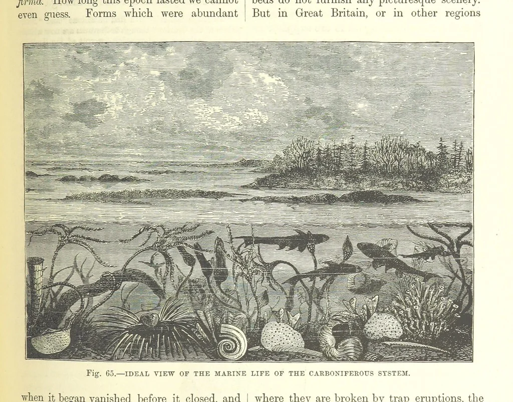 An illustration from Our Earth and its Story: a popular treatise on physical geography. Edited by R. Brown. With ... coloured plates and maps, etc, 1893, leaf 511