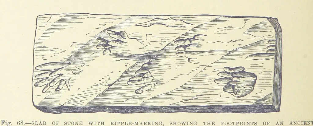An illustration from Our Earth and its Story: a popular treatise on physical geography. Edited by R. Brown. With ... coloured plates and maps, etc, 1893, leaf 516