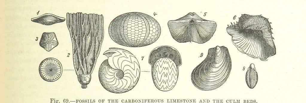 An illustration from Our Earth and its Story: a popular treatise on physical geography. Edited by R. Brown. With ... coloured plates and maps, etc, 1893, leaf 517