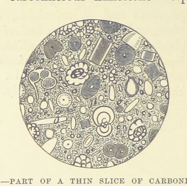 An illustration from Our Earth and its Story: a popular treatise on physical geography. Edited by R. Brown. With ... coloured plates and maps, etc, 1893, leaf 518