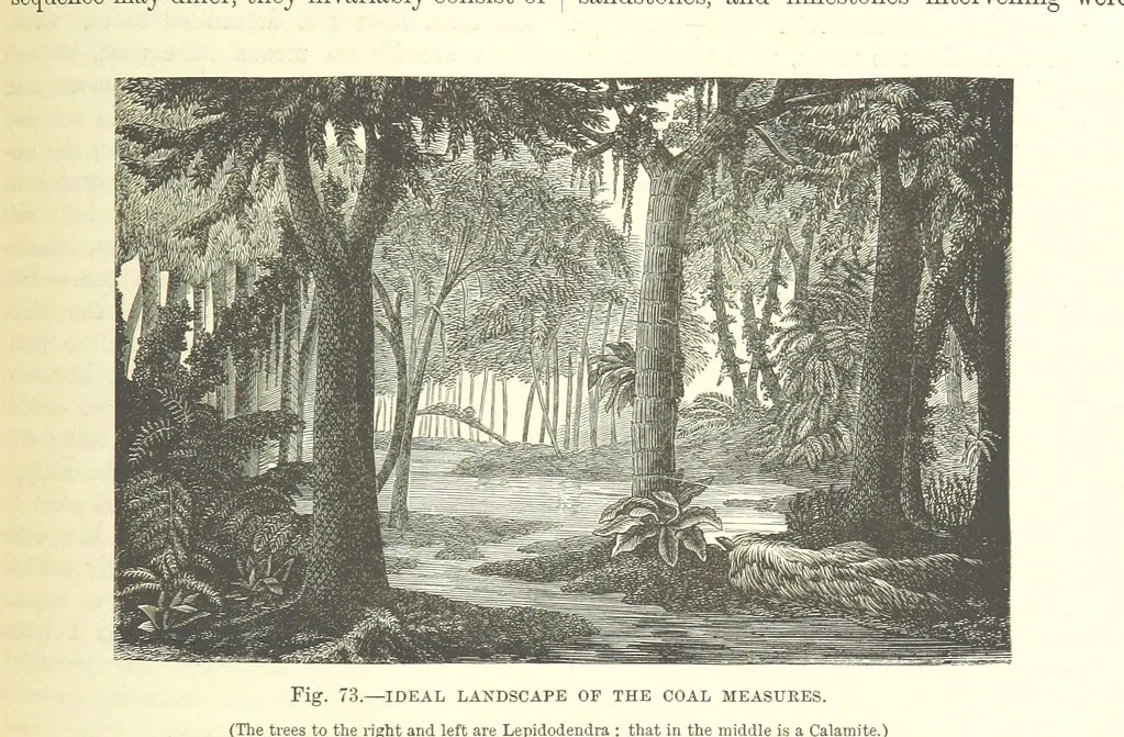 An illustration from Our Earth and its Story: a popular treatise on physical geography. Edited by R. Brown. With ... coloured plates and maps, etc, 1893, leaf 519