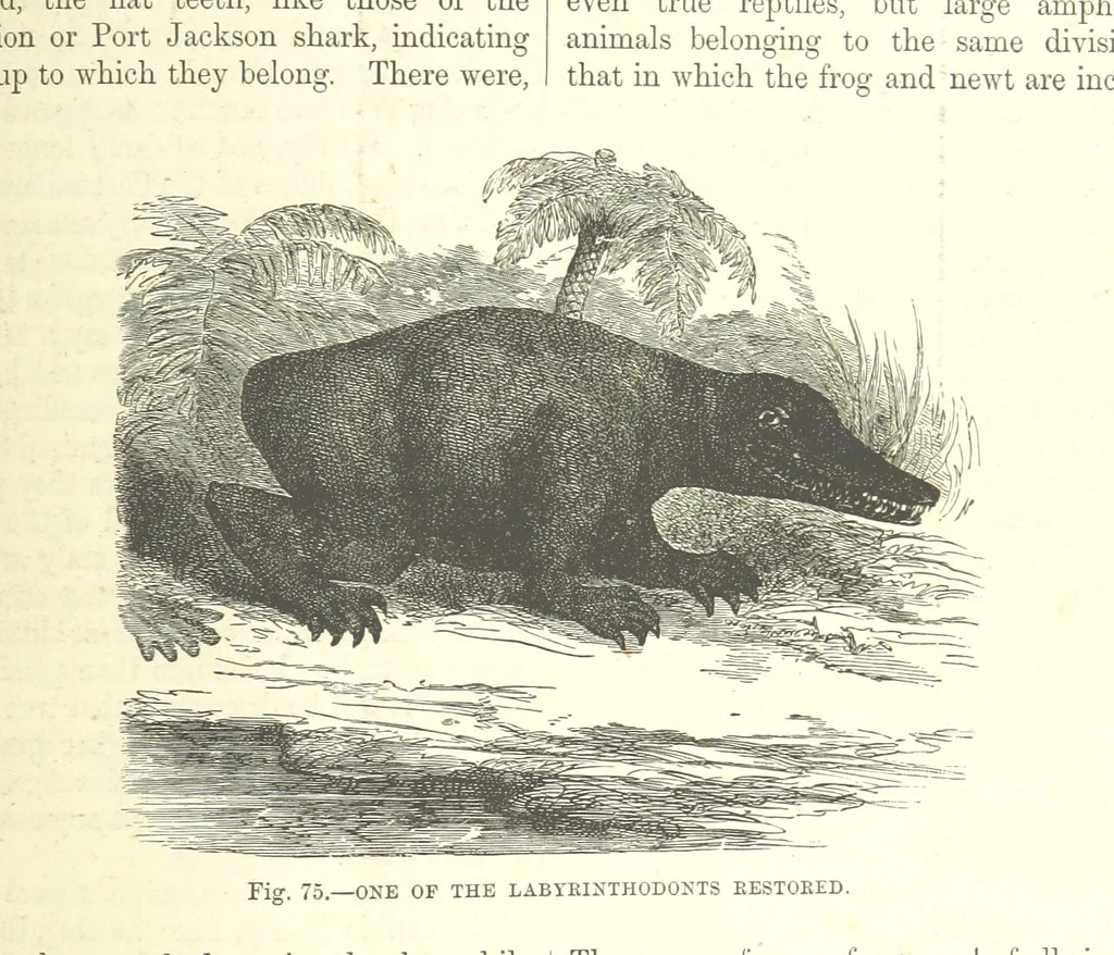 An illustration from Our Earth and its Story: a popular treatise on physical geography. Edited by R. Brown. With ... coloured plates and maps, etc, 1893, leaf 525