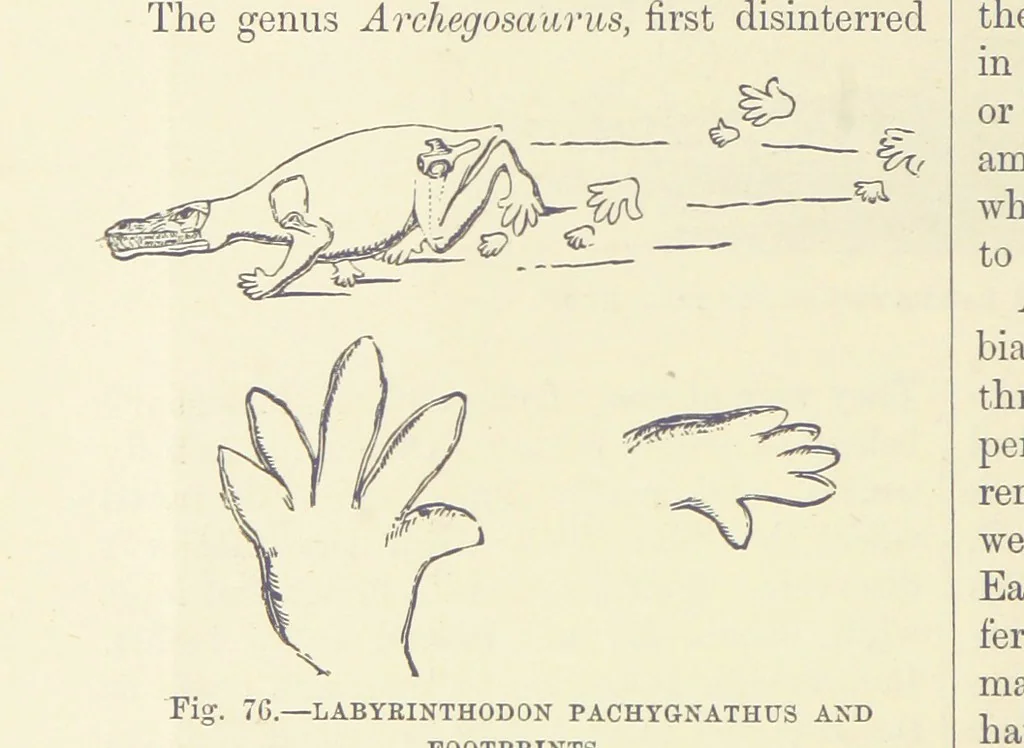 An illustration from Our Earth and its Story: a popular treatise on physical geography. Edited by R. Brown. With ... coloured plates and maps, etc, 1893, leaf 526