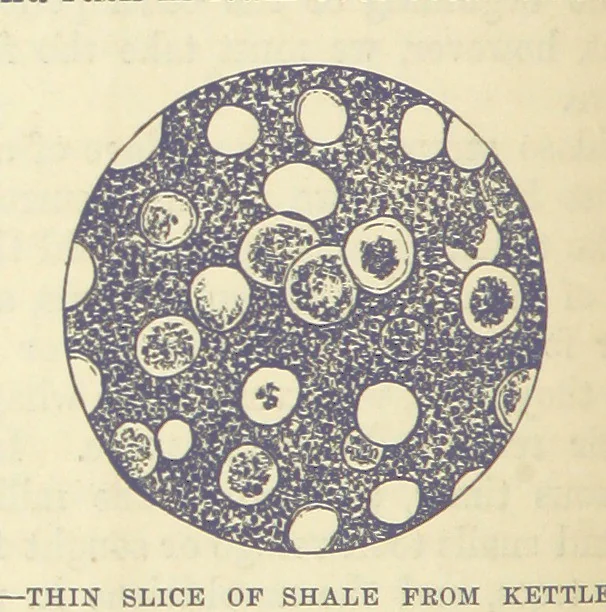 An illustration from Our Earth and its Story: a popular treatise on physical geography. Edited by R. Brown. With ... coloured plates and maps, etc, 1893, leaf 528