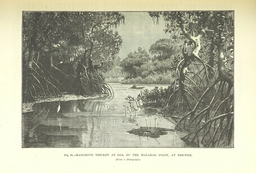 An illustration from Our Earth and its Story: a popular treatise on physical geography. Edited by R. Brown. With ... coloured plates and maps, etc, 1893, leaf 537