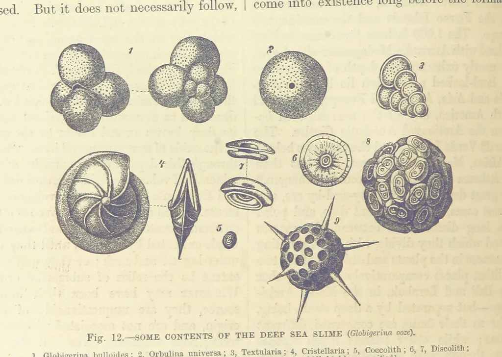 An illustration from Our Earth and its Story: a popular treatise on physical geography. Edited by R. Brown. With ... coloured plates and maps, etc, 1893, leaf 54