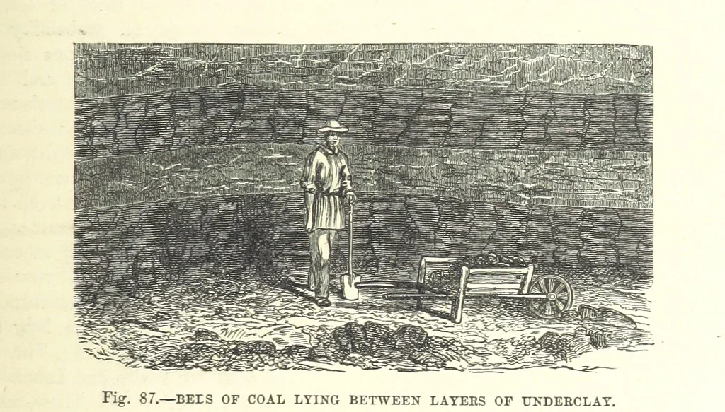An illustration from Our Earth and its Story: a popular treatise on physical geography. Edited by R. Brown. With ... coloured plates and maps, etc, 1893, leaf 543