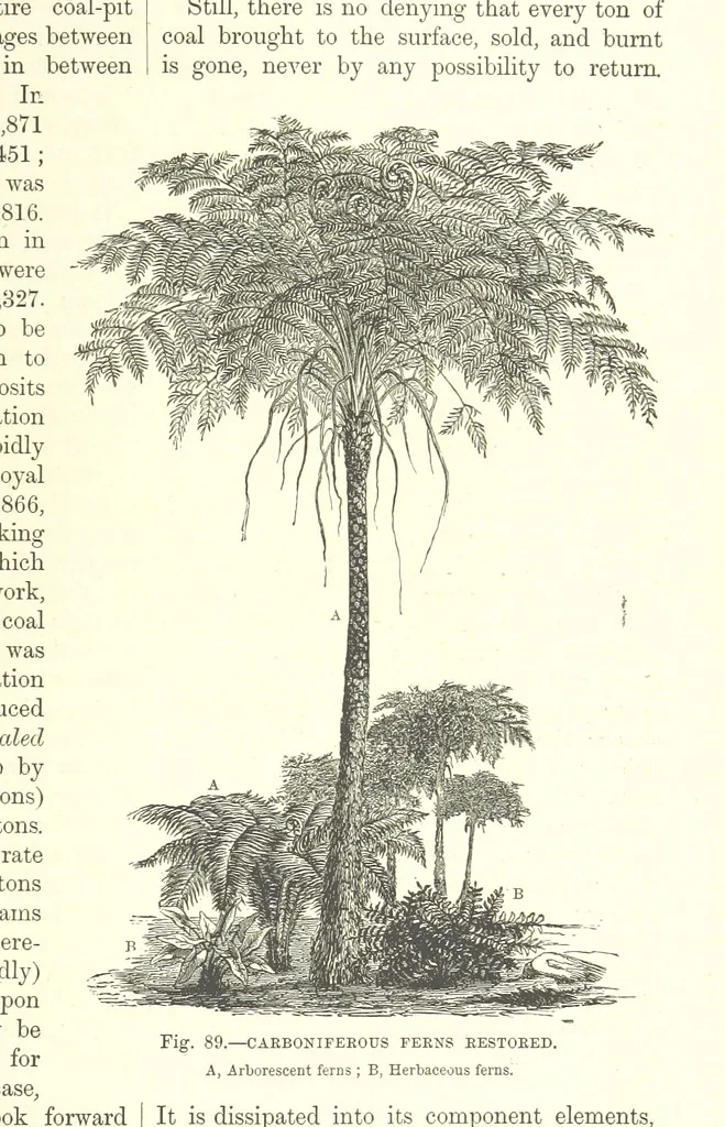 An illustration from Our Earth and its Story: a popular treatise on physical geography. Edited by R. Brown. With ... coloured plates and maps, etc, 1893, leaf 545
