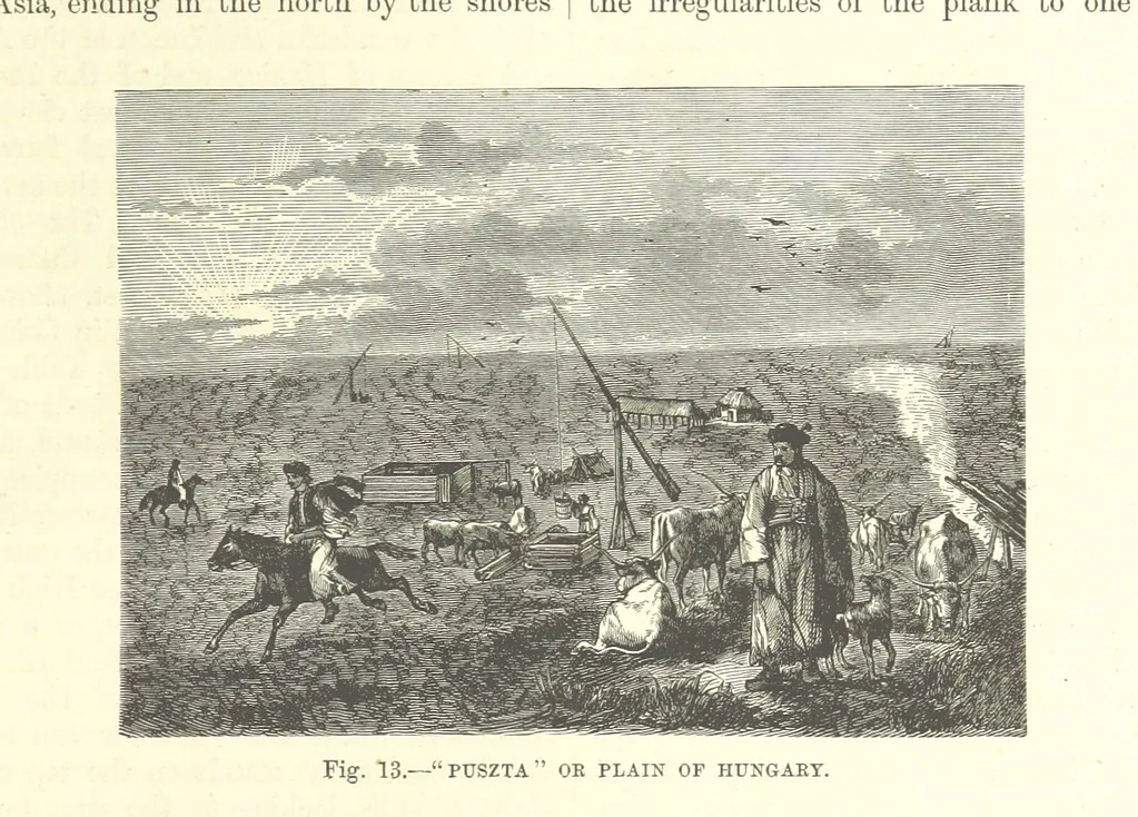An illustration from Our Earth and its Story: a popular treatise on physical geography. Edited by R. Brown. With ... coloured plates and maps, etc, 1893, leaf 55