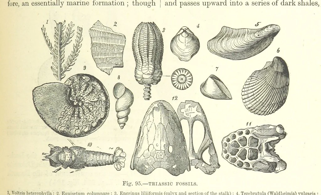 An illustration from Our Earth and its Story: a popular treatise on physical geography. Edited by R. Brown. With ... coloured plates and maps, etc, 1893, leaf 559