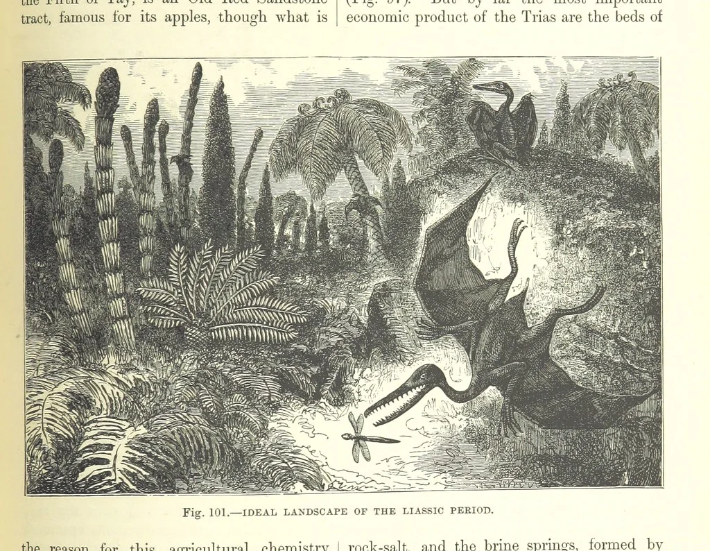 An illustration from Our Earth and its Story: a popular treatise on physical geography. Edited by R. Brown. With ... coloured plates and maps, etc, 1893, leaf 567
