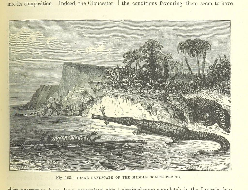 An illustration from Our Earth and its Story: a popular treatise on physical geography. Edited by R. Brown. With ... coloured plates and maps, etc, 1893, leaf 571