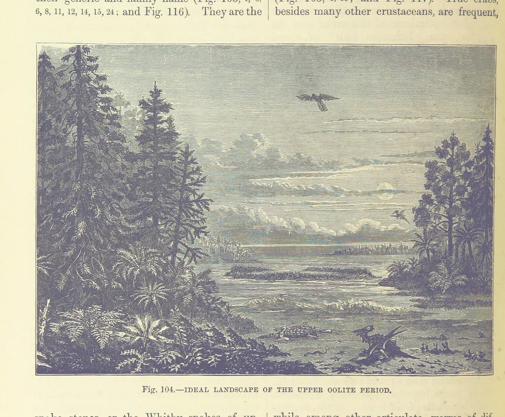 An illustration from Our Earth and its Story: a popular treatise on physical geography. Edited by R. Brown. With ... coloured plates and maps, etc, 1893, leaf 574