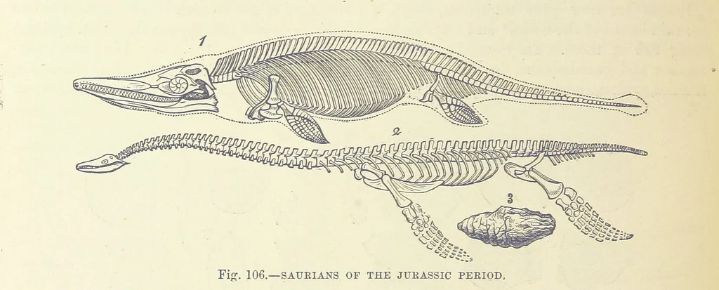 An illustration from Our Earth and its Story: a popular treatise on physical geography. Edited by R. Brown. With ... coloured plates and maps, etc, 1893, leaf 576