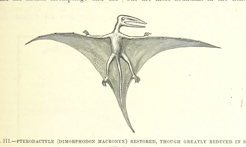 An illustration from Our Earth and its Story: a popular treatise on physical geography. Edited by R. Brown. With ... coloured plates and maps, etc, 1893, leaf 579