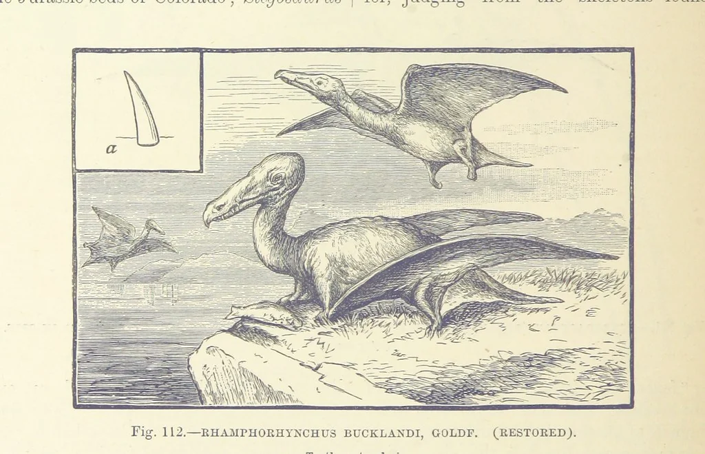 An illustration from Our Earth and its Story: a popular treatise on physical geography. Edited by R. Brown. With ... coloured plates and maps, etc, 1893, leaf 580