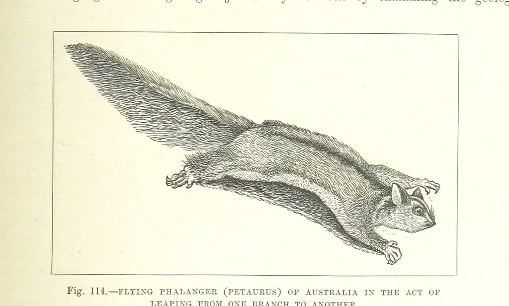 An illustration from Our Earth and its Story: a popular treatise on physical geography. Edited by R. Brown. With ... coloured plates and maps, etc, 1893, leaf 585