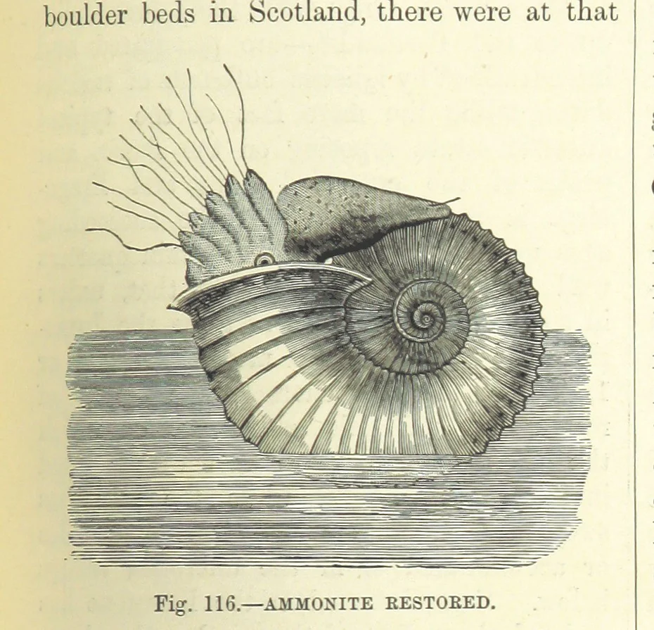 An illustration from Our Earth and its Story: a popular treatise on physical geography. Edited by R. Brown. With ... coloured plates and maps, etc, 1893, leaf 587