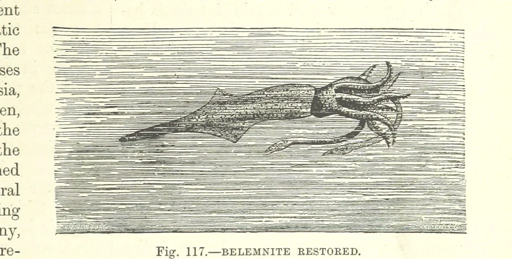 An illustration from Our Earth and its Story: a popular treatise on physical geography. Edited by R. Brown. With ... coloured plates and maps, etc, 1893, leaf 587