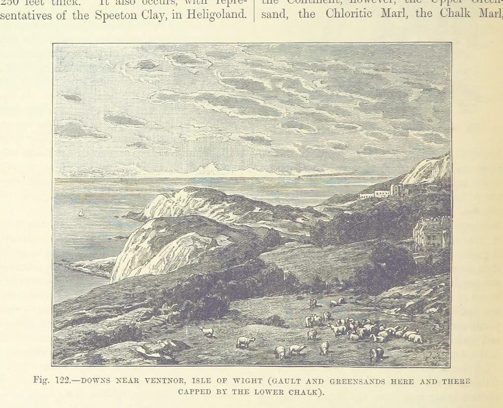 An illustration from Our Earth and its Story: a popular treatise on physical geography. Edited by R. Brown. With ... coloured plates and maps, etc, 1893, leaf 602