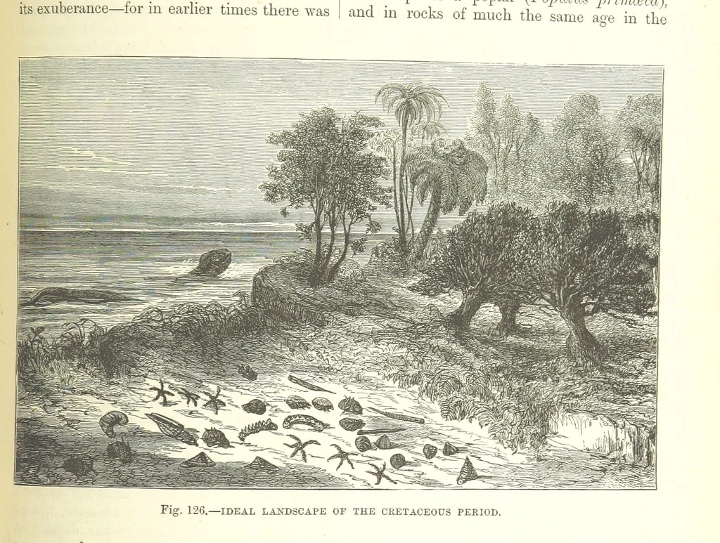 An illustration from Our Earth and its Story: a popular treatise on physical geography. Edited by R. Brown. With ... coloured plates and maps, etc, 1893, leaf 609
