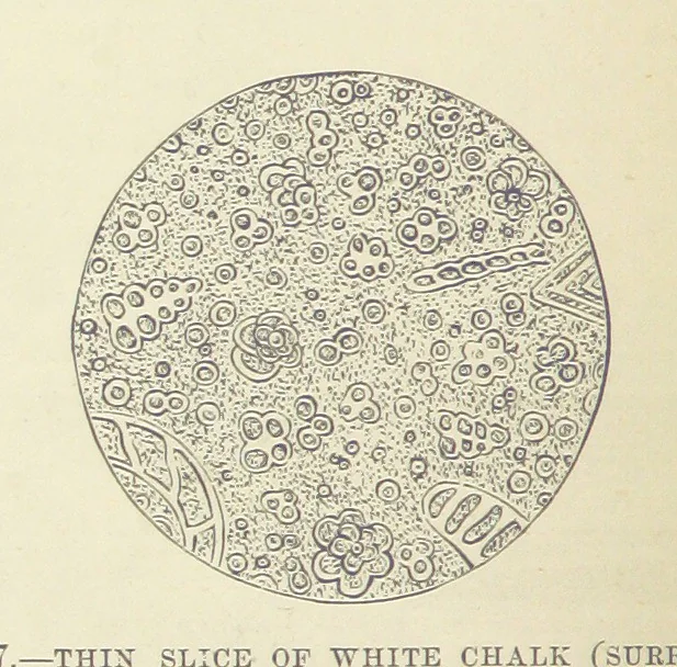 An illustration from Our Earth and its Story: a popular treatise on physical geography. Edited by R. Brown. With ... coloured plates and maps, etc, 1893, leaf 610