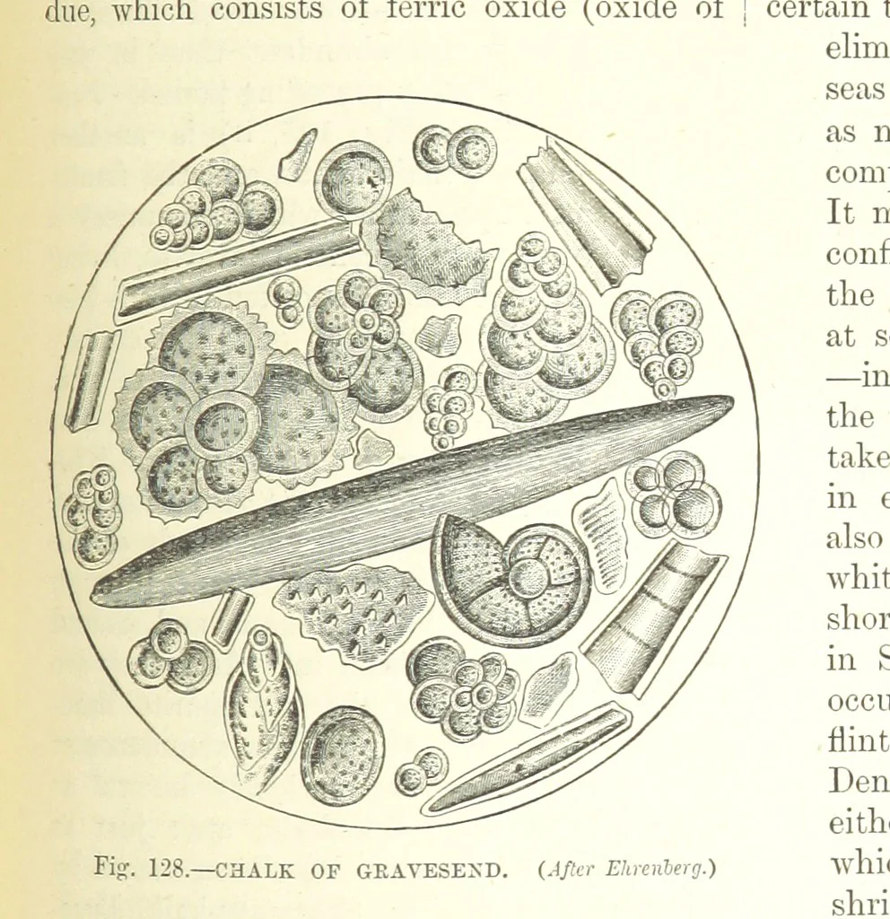 An illustration from Our Earth and its Story: a popular treatise on physical geography. Edited by R. Brown. With ... coloured plates and maps, etc, 1893, leaf 611