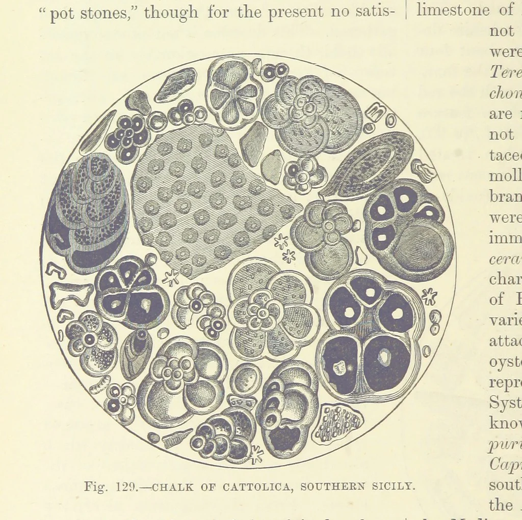 An illustration from Our Earth and its Story: a popular treatise on physical geography. Edited by R. Brown. With ... coloured plates and maps, etc, 1893, leaf 612