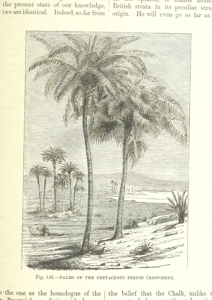 An illustration from Our Earth and its Story: a popular treatise on physical geography. Edited by R. Brown. With ... coloured plates and maps, etc, 1893, leaf 617
