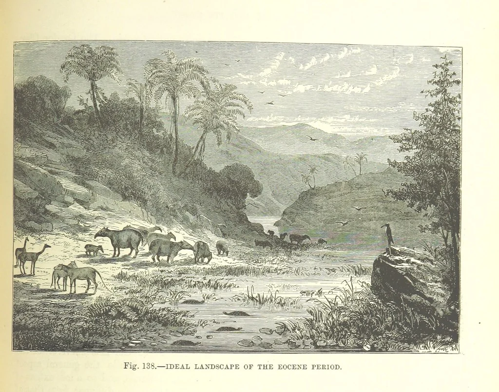 An illustration from Our Earth and its Story: a popular treatise on physical geography. Edited by R. Brown. With ... coloured plates and maps, etc, 1893, leaf 627