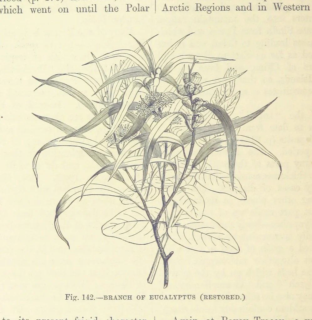 An illustration from Our Earth and its Story: a popular treatise on physical geography. Edited by R. Brown. With ... coloured plates and maps, etc, 1893, leaf 638