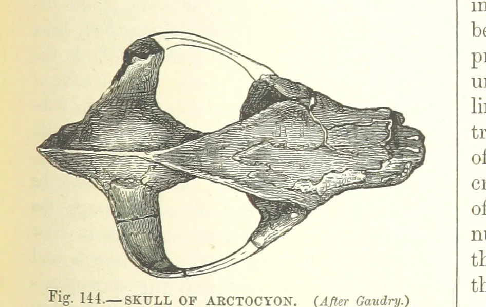 An illustration from Our Earth and its Story: a popular treatise on physical geography. Edited by R. Brown. With ... coloured plates and maps, etc, 1893, leaf 641
