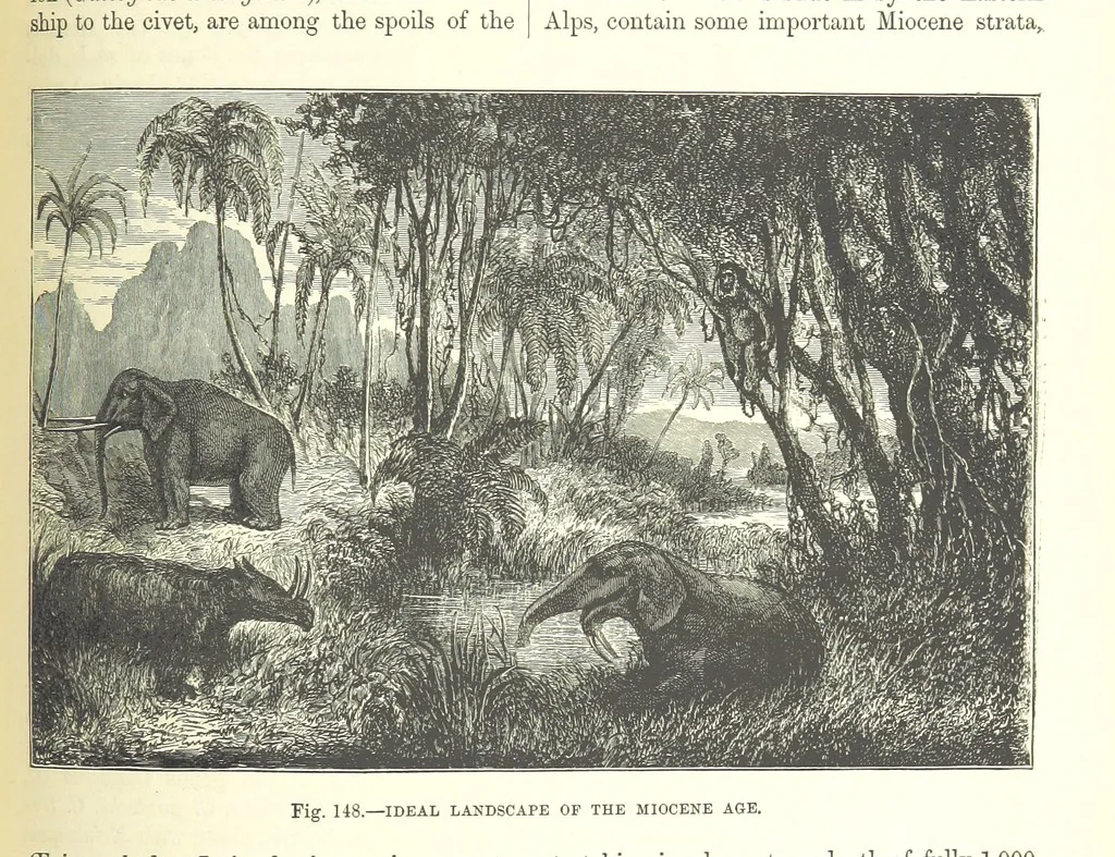 An illustration from Our Earth and its Story: a popular treatise on physical geography. Edited by R. Brown. With ... coloured plates and maps, etc, 1893, leaf 647