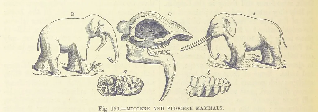 An illustration from Our Earth and its Story: a popular treatise on physical geography. Edited by R. Brown. With ... coloured plates and maps, etc, 1893, leaf 650