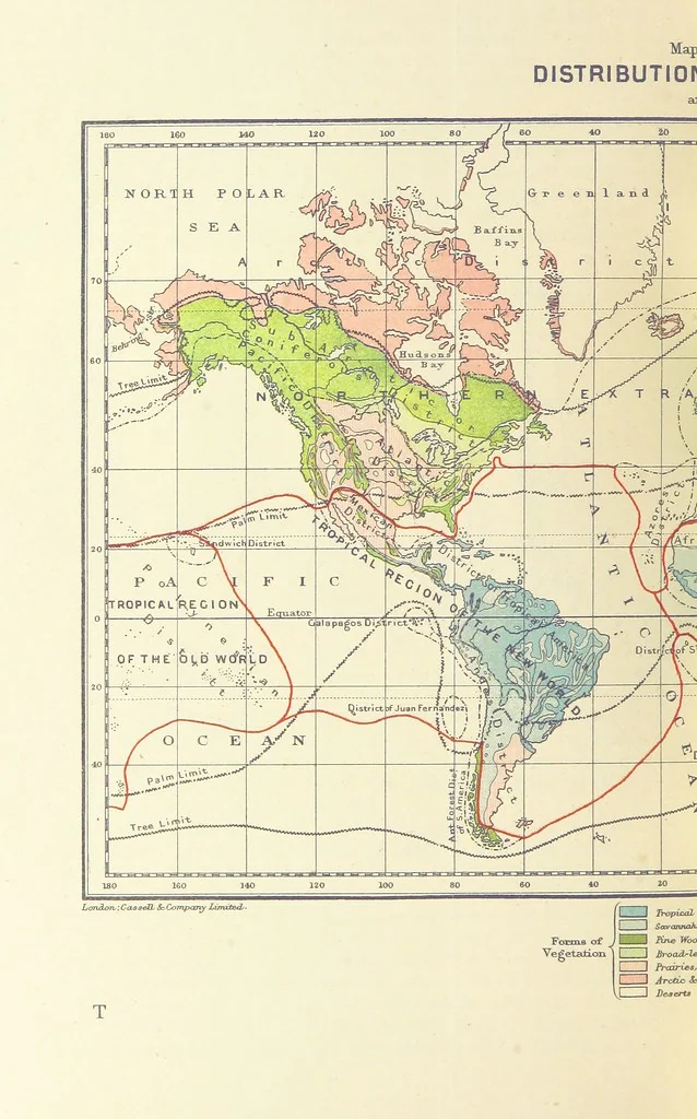 An illustration from Our Earth and its Story: a popular treatise on physical geography. Edited by R. Brown. With ... coloured plates and maps, etc, 1893, leaf 660