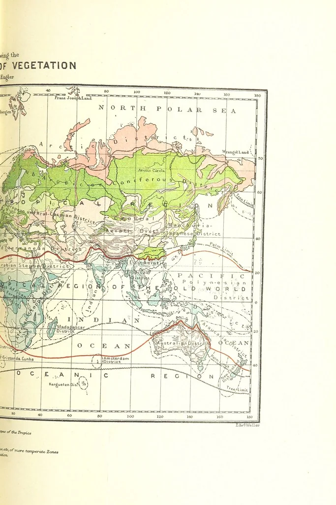 An illustration from Our Earth and its Story: a popular treatise on physical geography. Edited by R. Brown. With ... coloured plates and maps, etc, 1893, leaf 661