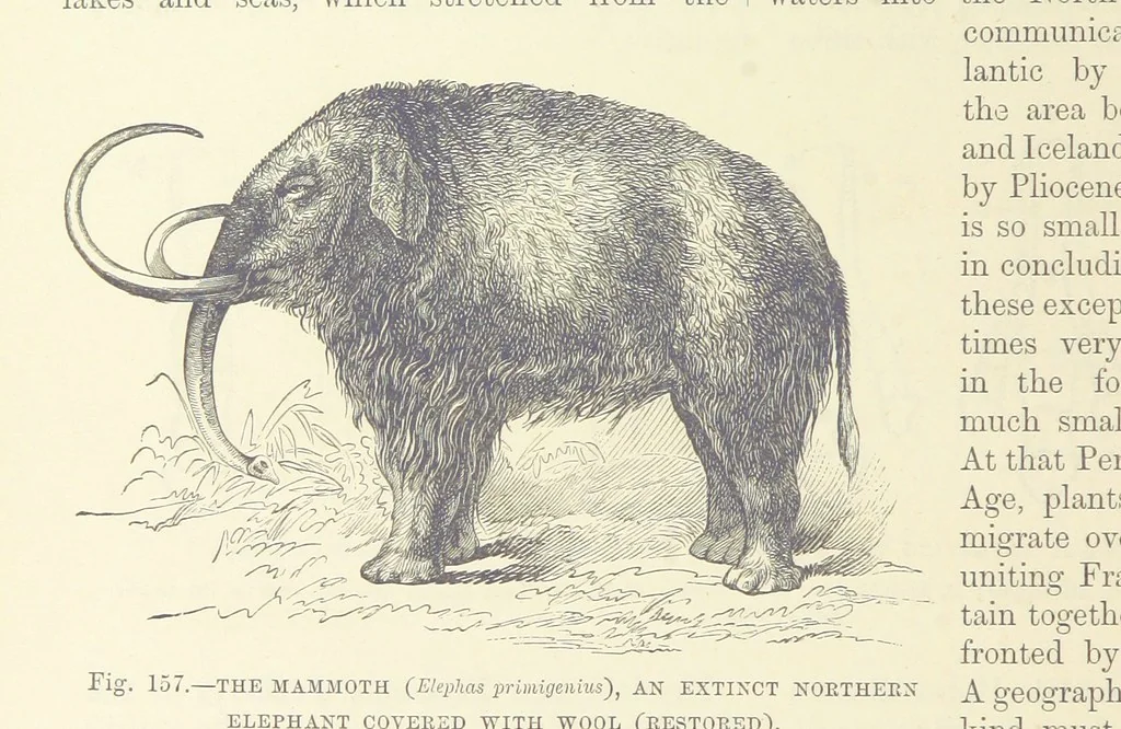 An illustration from Our Earth and its Story: a popular treatise on physical geography. Edited by R. Brown. With ... coloured plates and maps, etc, 1893, leaf 664