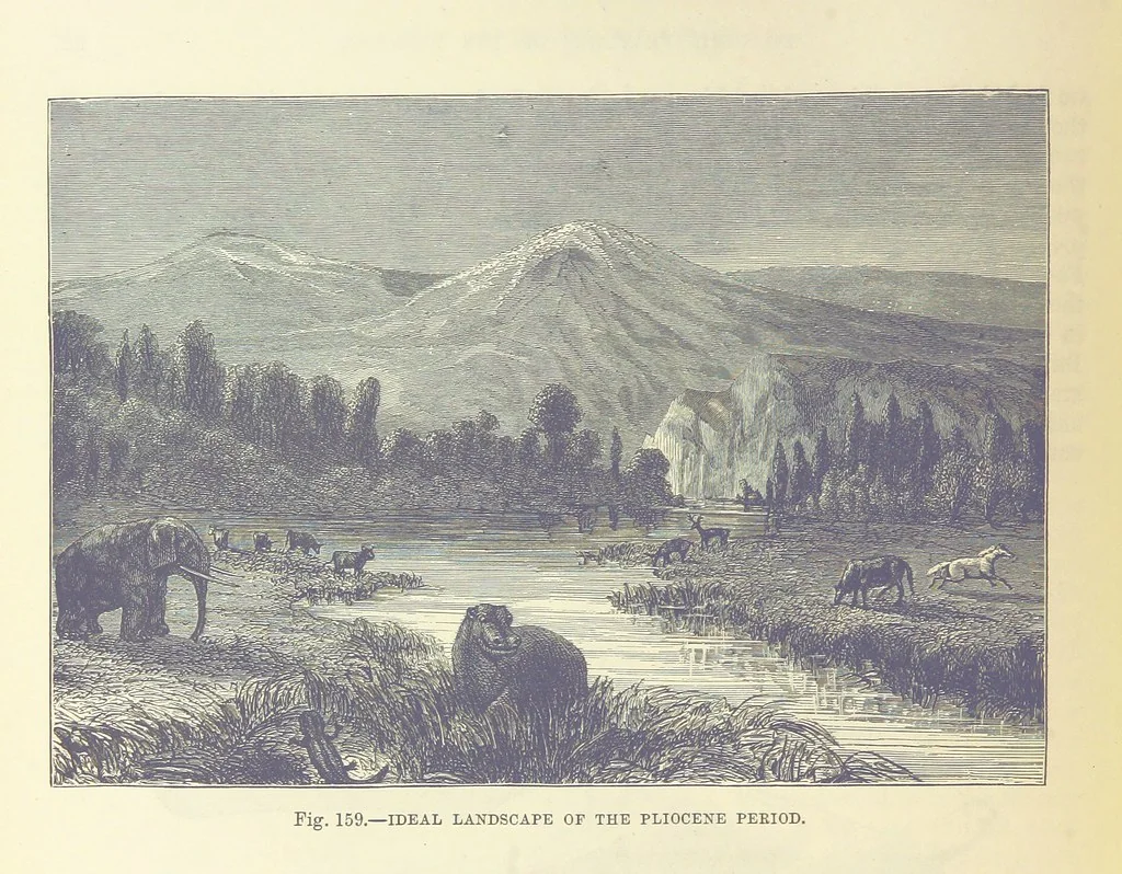 An illustration from Our Earth and its Story: a popular treatise on physical geography. Edited by R. Brown. With ... coloured plates and maps, etc, 1893, leaf 666