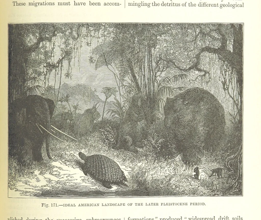 An illustration from Our Earth and its Story: a popular treatise on physical geography. Edited by R. Brown. With ... coloured plates and maps, etc, 1893, leaf 679