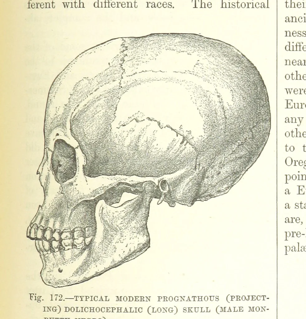 An illustration from Our Earth and its Story: a popular treatise on physical geography. Edited by R. Brown. With ... coloured plates and maps, etc, 1893, leaf 683