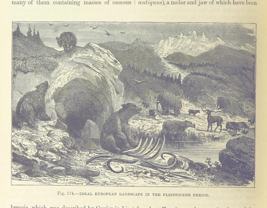 An illustration from Our Earth and its Story: a popular treatise on physical geography. Edited by R. Brown. With ... coloured plates and maps, etc, 1893, leaf 686