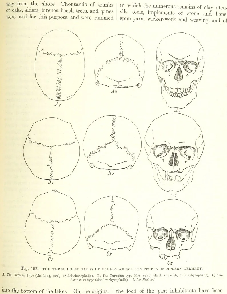 An illustration from Our Earth and its Story: a popular treatise on physical geography. Edited by R. Brown. With ... coloured plates and maps, etc, 1893, leaf 701